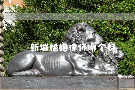 新城婚姻律师哪个好 新城婚姻律师哪个好