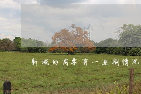 新城的商票有一逾期情况吗