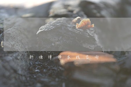 新塘律师在线咨询 新塘律师在线咨询