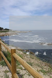 新增违法建筑宣传简报 新增违法建筑宣传简报