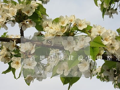 新增违法建设集中整治行动方案 新增违法建设集中整治行动方案