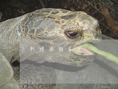 新增逾期客户 新增逾期客户