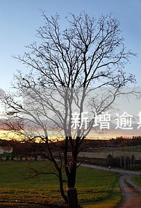 新增逾期计算公式 新增逾期计算公式