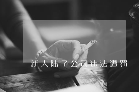 新大陆子公司违法遭罚 新大陆子公司违法遭罚