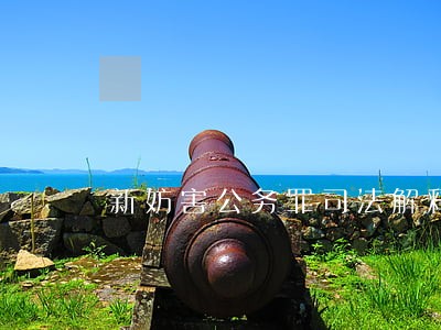 新妨害公务罪司法解释辅警