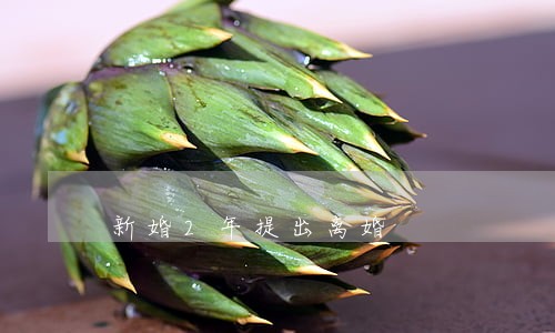 新婚2年提出离婚 新婚2年提出离婚