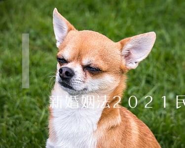 新婚姻法2021民法典 新婚姻法2021民法典