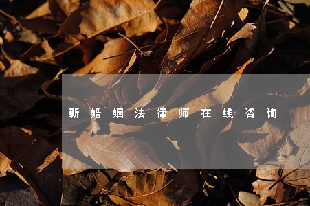 新婚姻法律师在线咨询 新婚姻法律师在线咨询