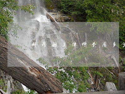新婚姻法律师费用多少 新婚姻法律师费用多少