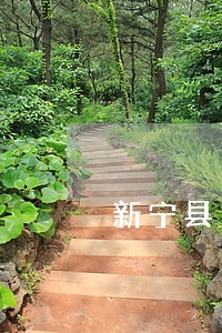新宁县白沙镇司法所电话 新宁县白沙镇司法所电话