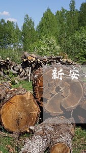 新安县离婚律师事务所 新安县离婚律师事务所