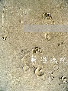 新密法院节前执行持续出击