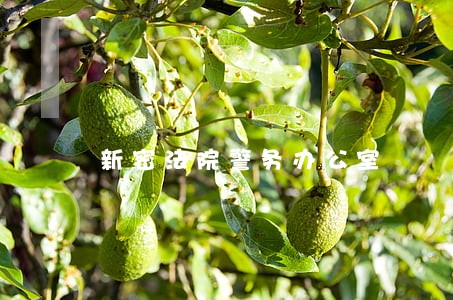 新密法院警务办公室 新密法院警务办公室