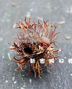 新密股权赠与合同律师 新密股权赠与合同律师
