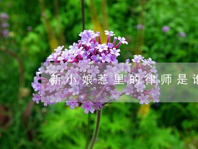 新小娘惹里的律师是谁 新小娘惹里的律师是谁