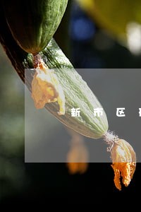 新市区刑事律师事务所费用 新市区刑事律师事务所费用