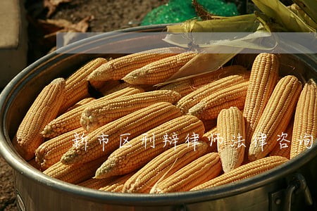 新市区刑辩律师法律咨询 新市区刑辩律师法律咨询