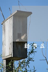 新市区厉害的质押合同纠纷律师 新市区厉害的质押合同纠纷律师