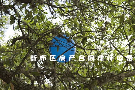 新市区房产合同律师收费 新市区房产合同律师收费