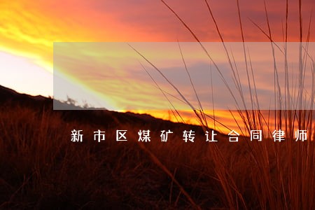 新市区煤矿转让合同律师 新市区煤矿转让合同律师