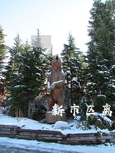 新市区离婚调解律师联系方式 新市区离婚调解律师联系方式