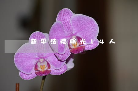 新平法院曝光14人 新平法院曝光14人