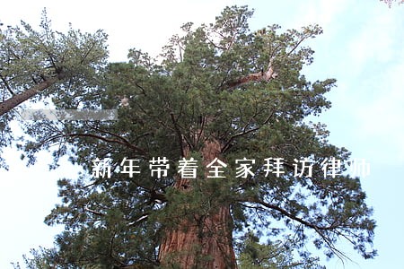 新年带着全家拜访律师 新年带着全家拜访律师