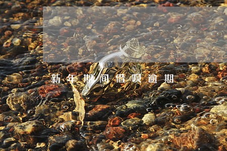 新年期间借呗逾期 新年期间借呗逾期