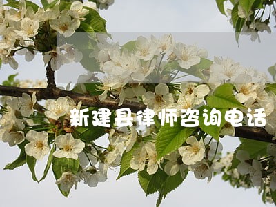 新建县律师咨询电话 新建县律师咨询电话