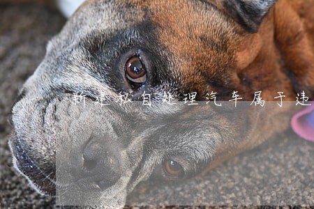 新建私自处理汽车属于违法行为 新建私自处理汽车属于违法行为
