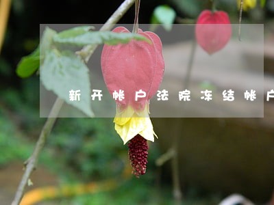 新开帐户法院冻结帐户时间 新开帐户法院冻结帐户时间