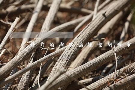 新开的淘宝店铺逾期未审 新开的淘宝店铺逾期未审