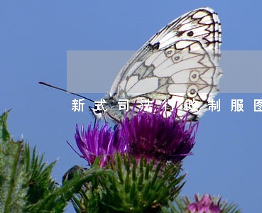 新式司法行政制服图样 新式司法行政制服图样
