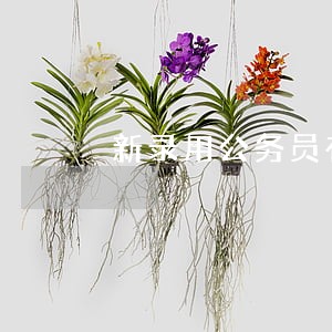 新录用公务员有司法津贴吗