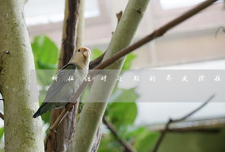 新征信对逾期的界定标准 新征信对逾期的界定标准