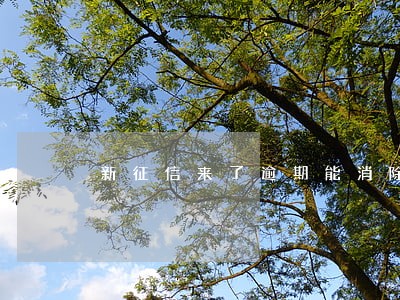新征信来了逾期能消除吗 新征信来了逾期能消除吗