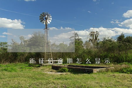 新征信逾期怎么显示 新征信逾期怎么显示