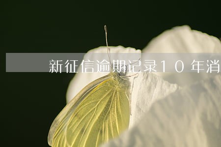 新征信逾期记录10年消除 新征信逾期记录10年消除