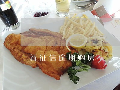 新征信逾期购房