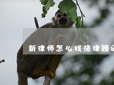 新律师怎么找法律顾问 新律师怎么找法律顾问