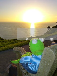 新心金融随心贷逾期怎么办 新心金融随心贷逾期怎么办
