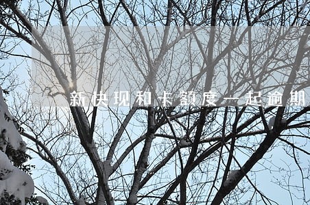 新快现和卡额度一起逾期算几次