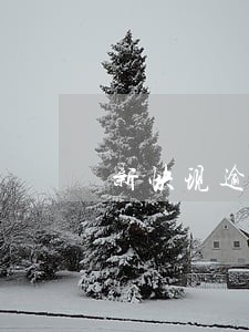 新快现逾期利息高么 新快现逾期利息高么