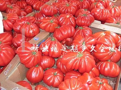 新快现逾期多久会被终止分期 新快现逾期多久会被终止分期