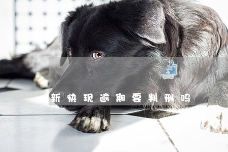 新快现逾期要判刑吗 新快现逾期要判刑吗