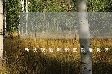 新快现逾期调整额度提高了 新快现逾期调整额度提高了