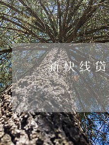 新快线贷款逾期会刑事诉讼吗 新快线贷款逾期会刑事诉讼吗
