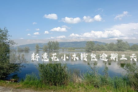 新意花小木钱包逾期三天 新意花小木钱包逾期三天