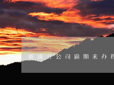 新成立公司逾期未办理社保 新成立公司逾期未办理社保