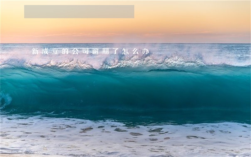 新成立的公司逾期了怎么办 新成立的公司逾期了怎么办